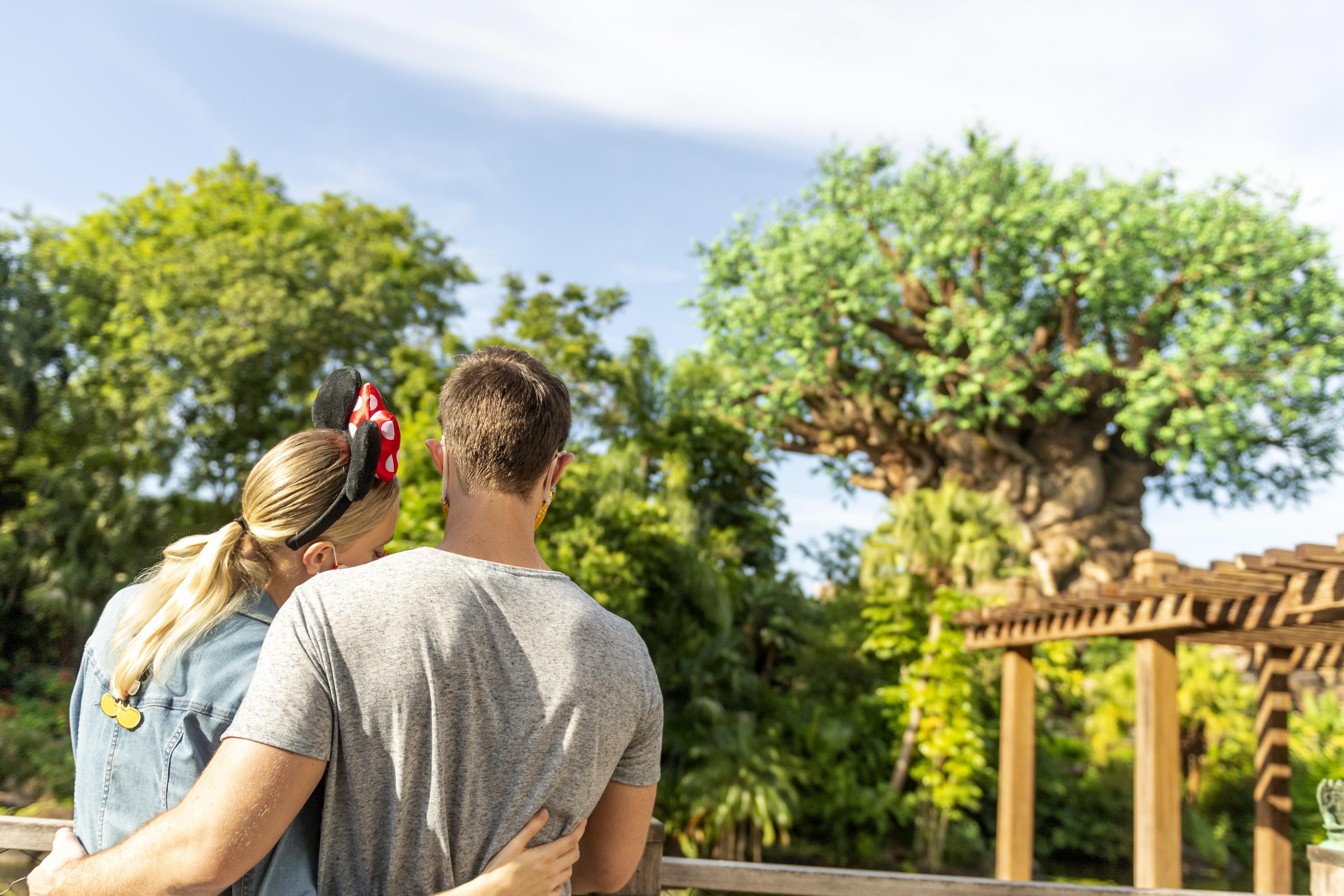 Disney'S Animal Kingdom Lodge Four Corners Eksteriør bilde