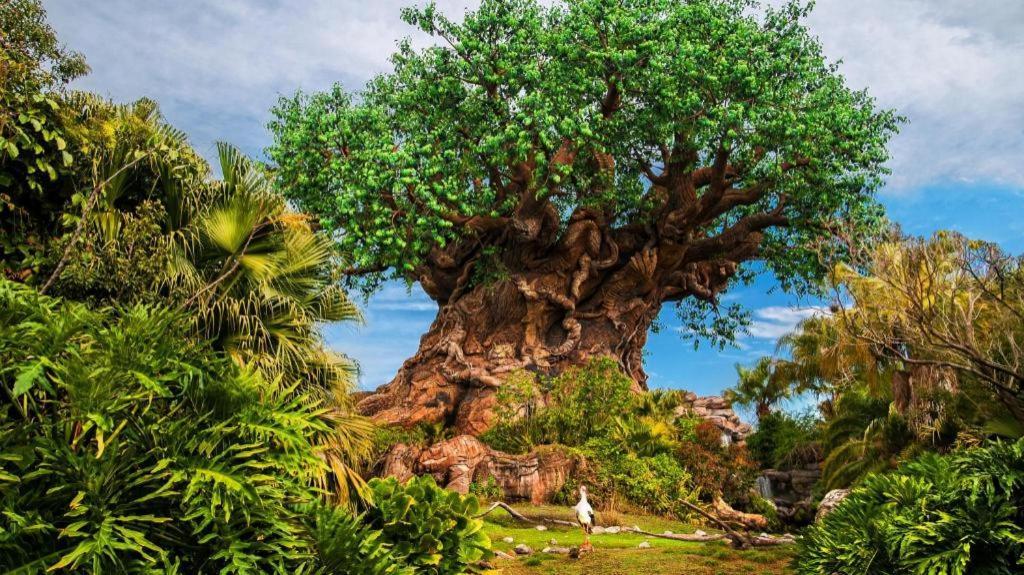 Disney'S Animal Kingdom Lodge Four Corners Eksteriør bilde