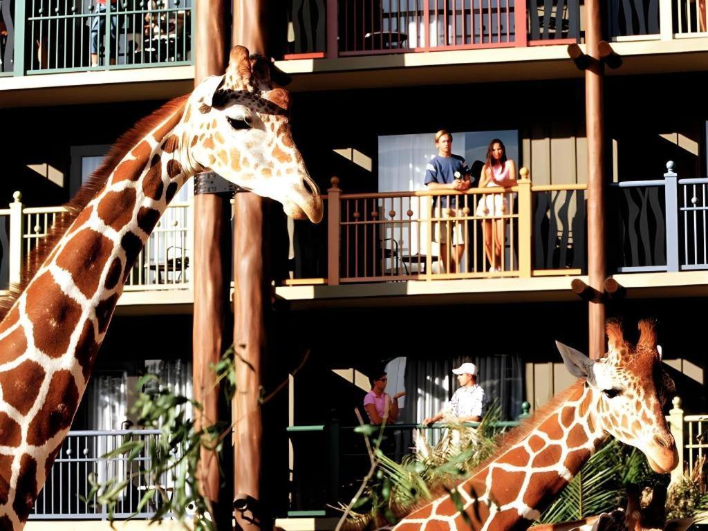 Disney'S Animal Kingdom Lodge Four Corners Eksteriør bilde