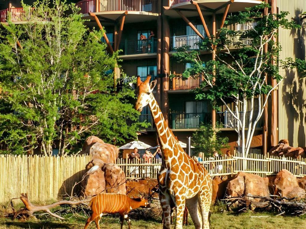 Disney'S Animal Kingdom Lodge Four Corners Eksteriør bilde