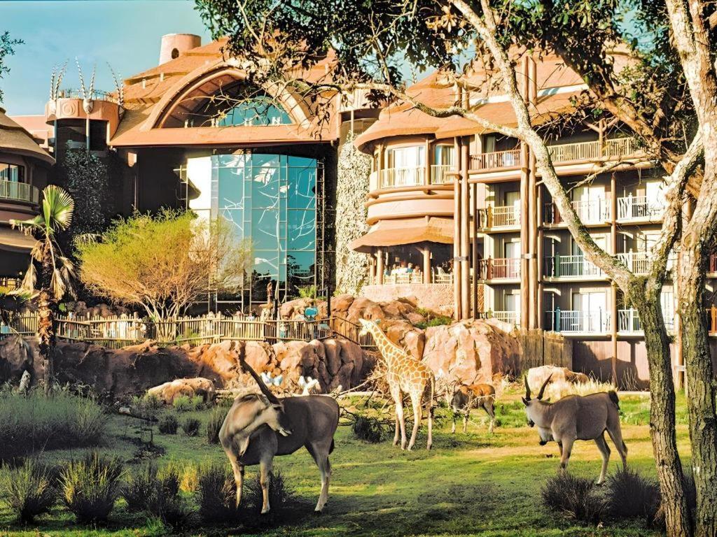 Disney'S Animal Kingdom Lodge Four Corners Eksteriør bilde