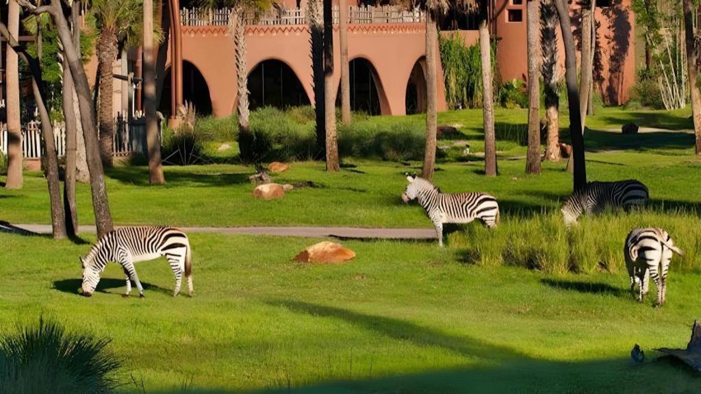 Disney'S Animal Kingdom Lodge Four Corners Eksteriør bilde
